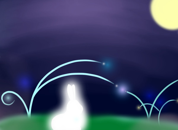光るうさぎ☆