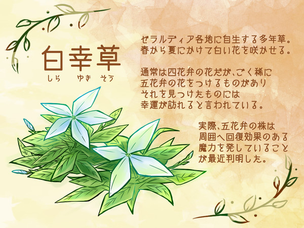 【PFSOZ】白幸草【植物】