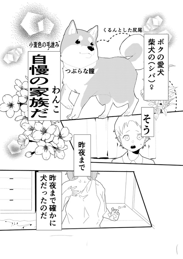 シバ