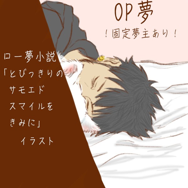 【OP夢】とびさもイラストログ5