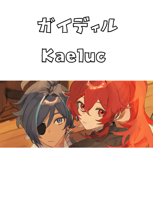 ガイディルまとめ