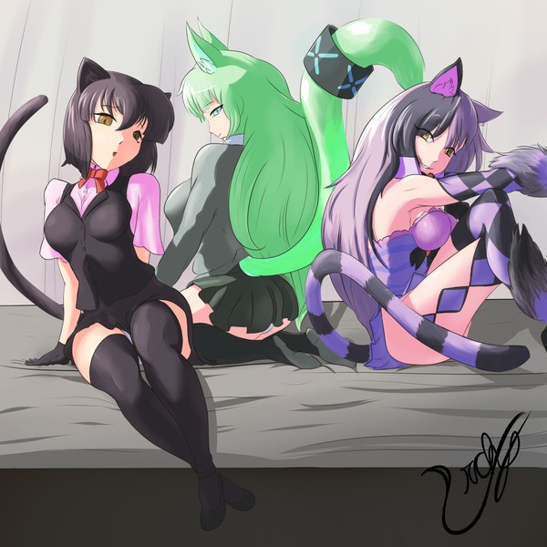 Smug cats