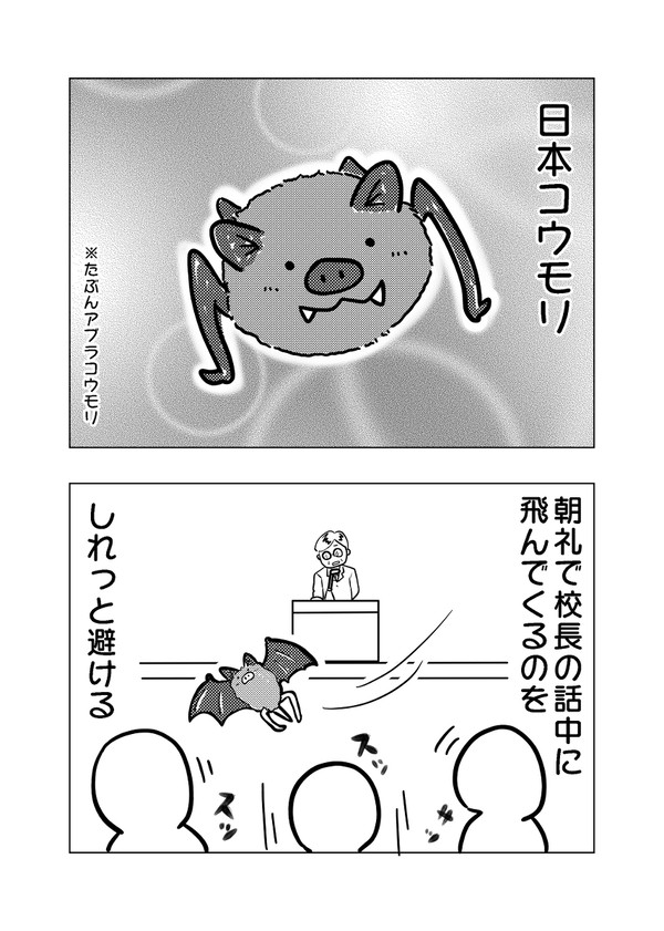 日本コウモリ:田舎寄りの高校にて