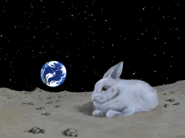 宇宙ウサギ