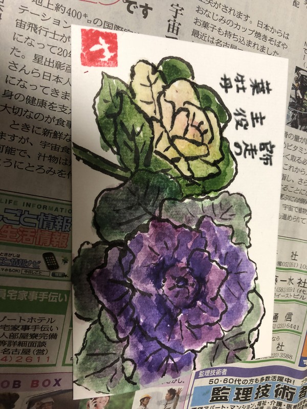 葉牡丹絵手紙