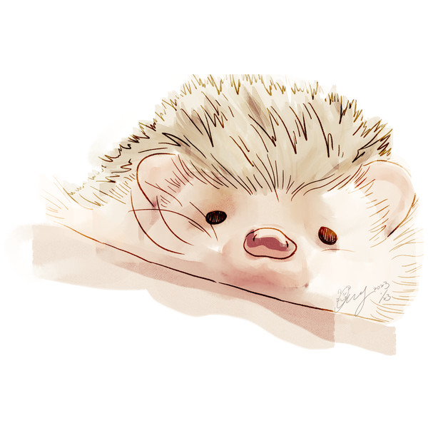 2023.01.23 hedgehog Mildtea spee