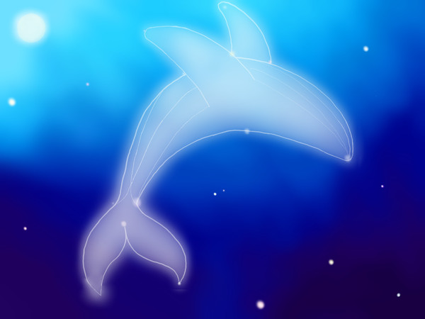 星の白鯨