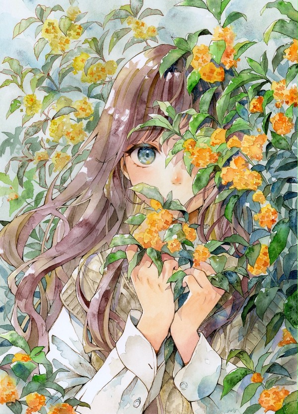 金木犀-Sweet Osmathus-