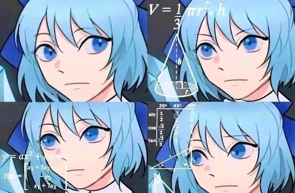⑨真的是baka吗？