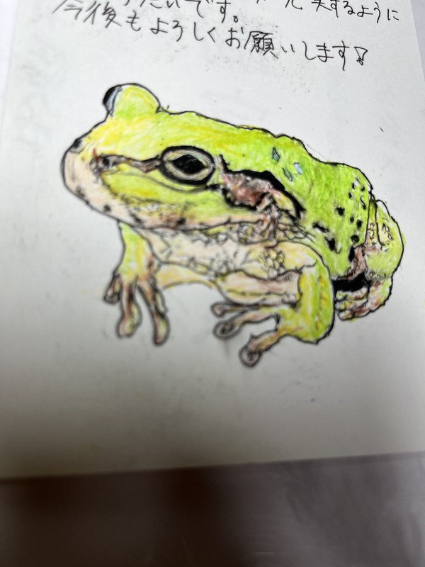 ニホンアマガエル(年賀はがきver)