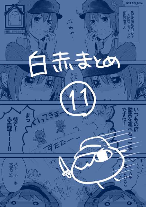 白赤まとめ11
