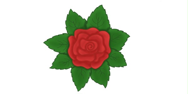 rose