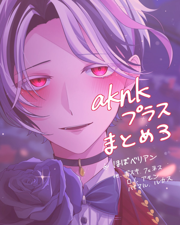 aknkプラスまとめ3