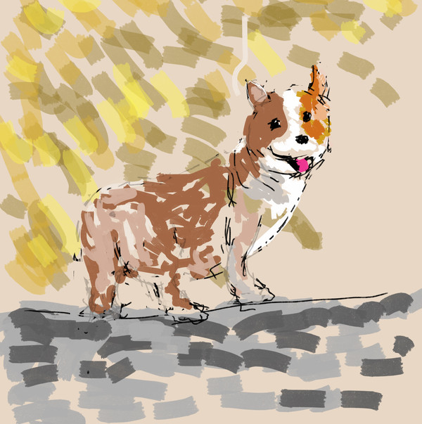 犬