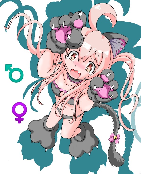 ねこの日