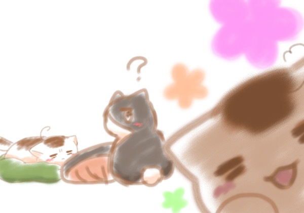 にゃーーーーん