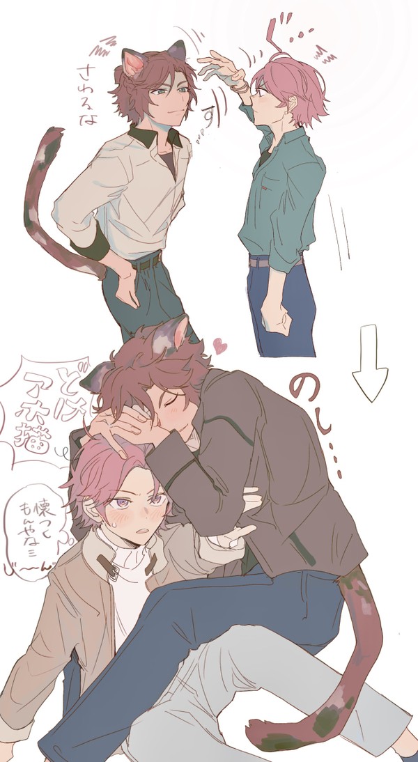 懐かない猫