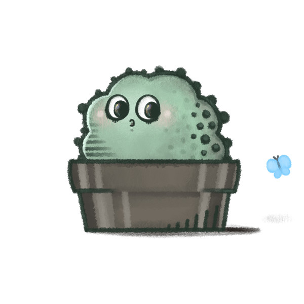 サボテン2