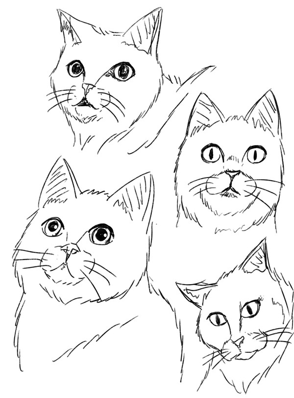猫模写