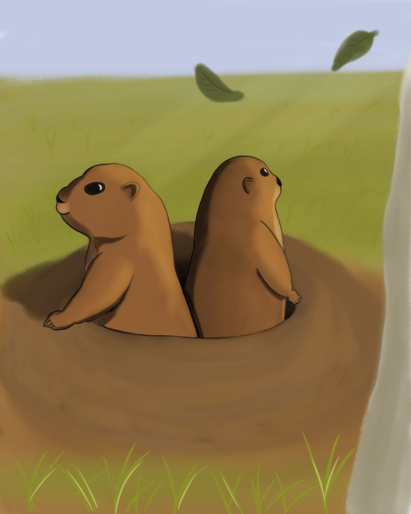 プレリードッグ / prairie dog