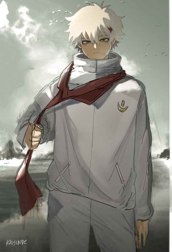 todoroki touya