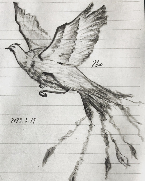 鳳凰