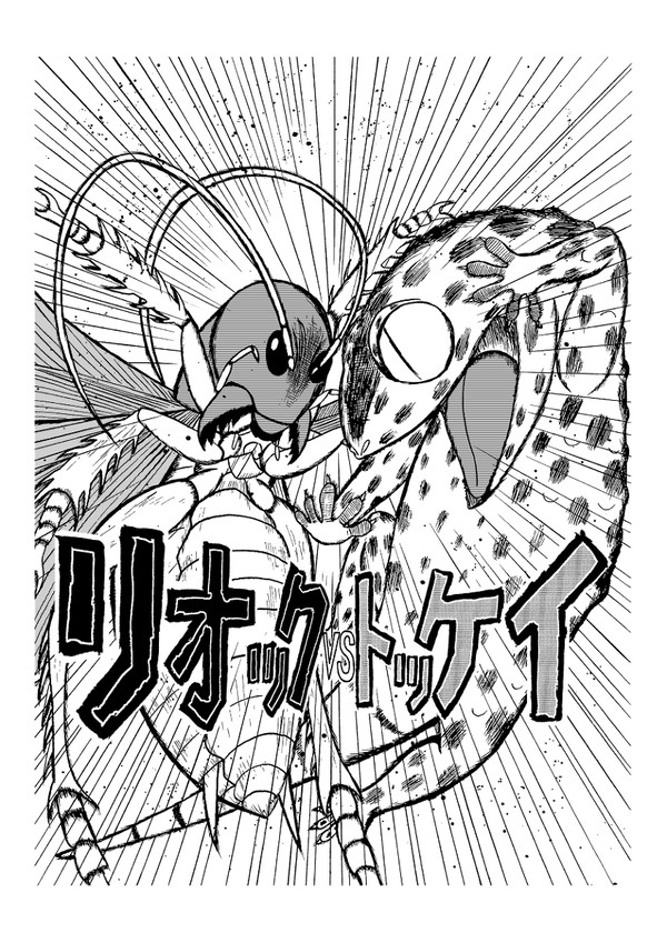 リオックvsトッケイ