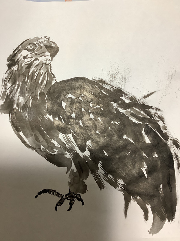鷹