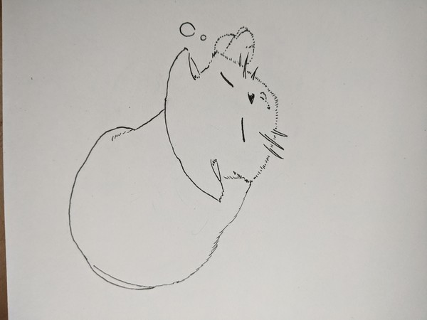 ねこ