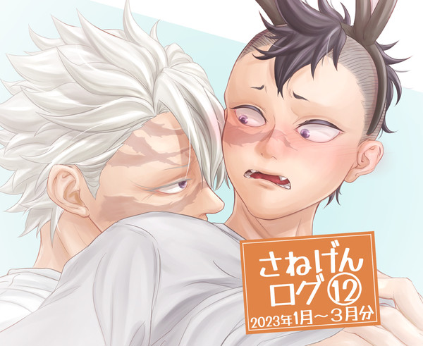 さねげんログ12