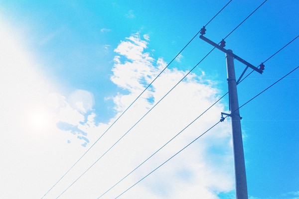 | 電柱 |