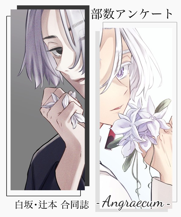 【通販開始】『Angraecum』サンプル