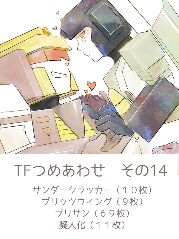 TFつめあわせ　その14　【ブリサン】