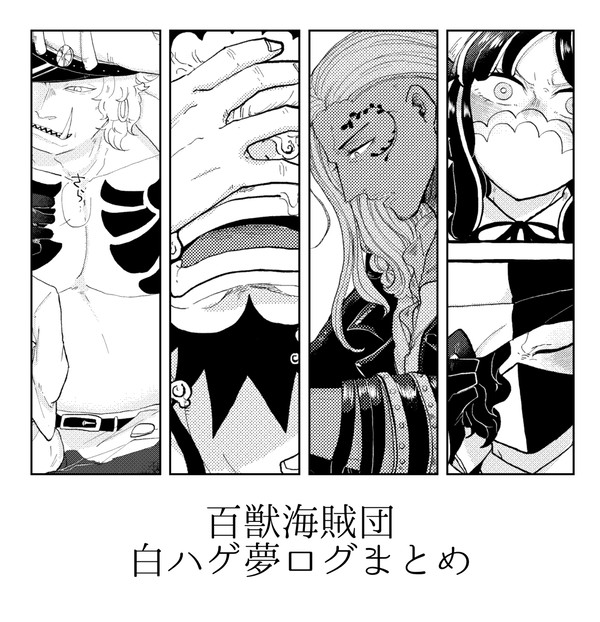 百獣海賊団夢ログ