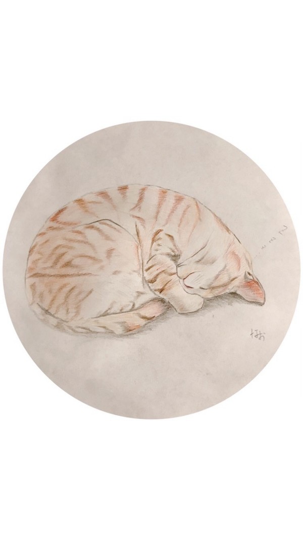 日向ぼっこ