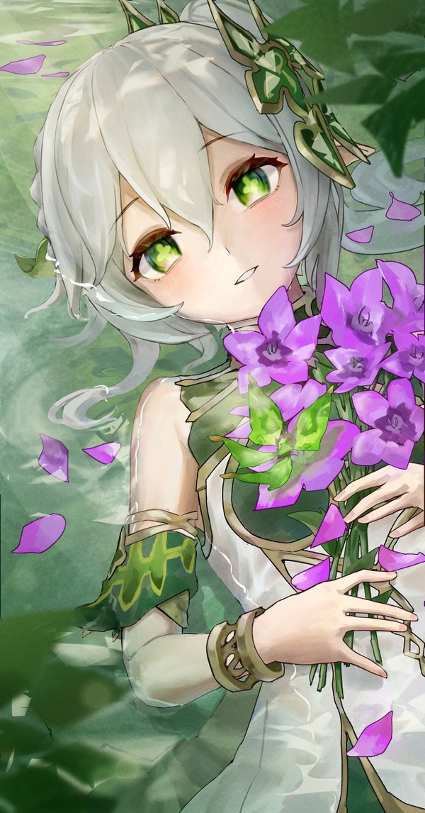 ナヒーダ