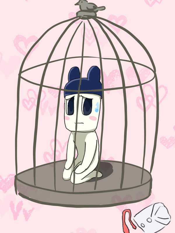 ぱぱまめっち