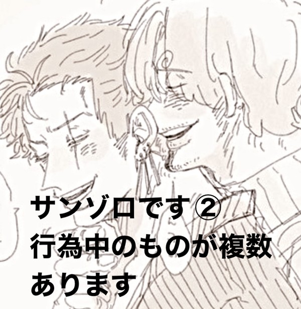 サンゾロまとめ②