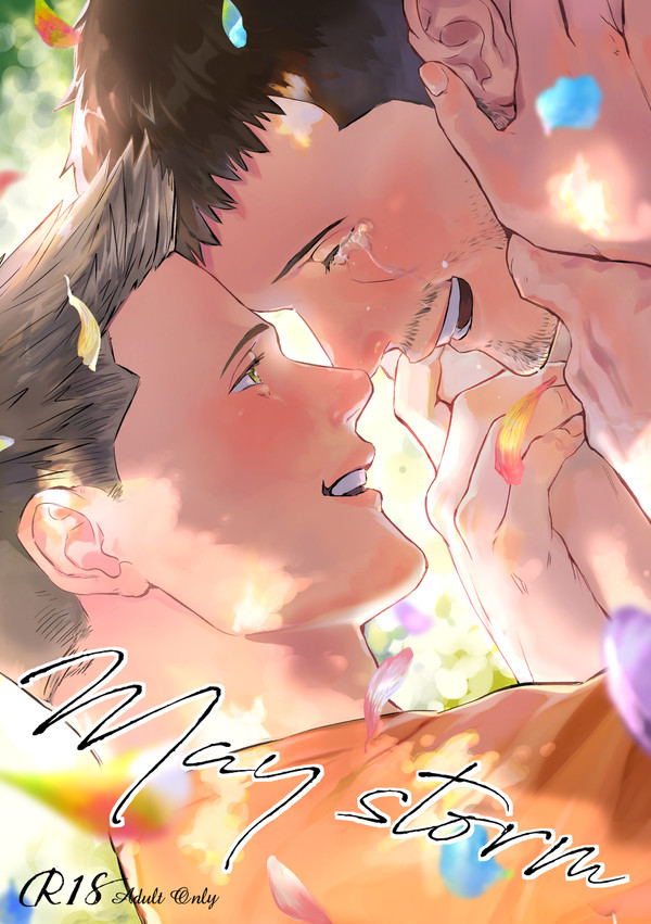 Maystorm【ピアクリ本サンプル】