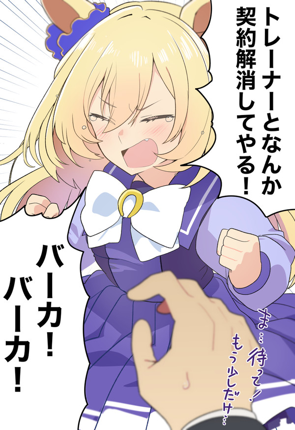 例のブリッジコンプちゃん