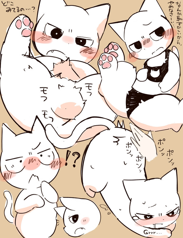 しかれ