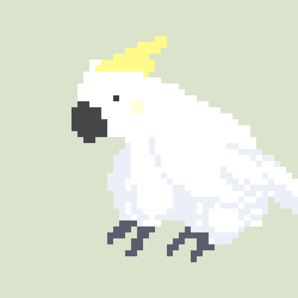 【落書き】ドット絵キバタン
