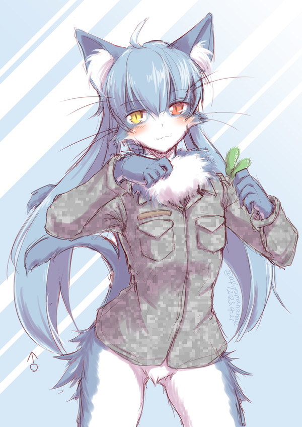 おまねこくん