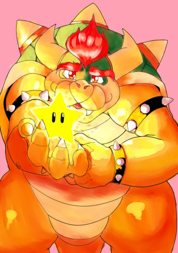 Bowser Proposal