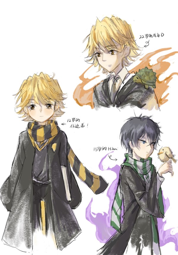 ディノヒバ Hp paro