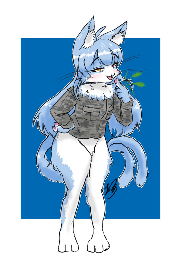 おまねこ