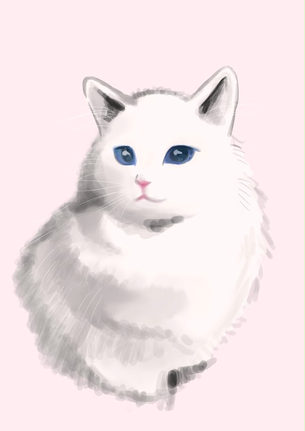 ねこ　描いてみた