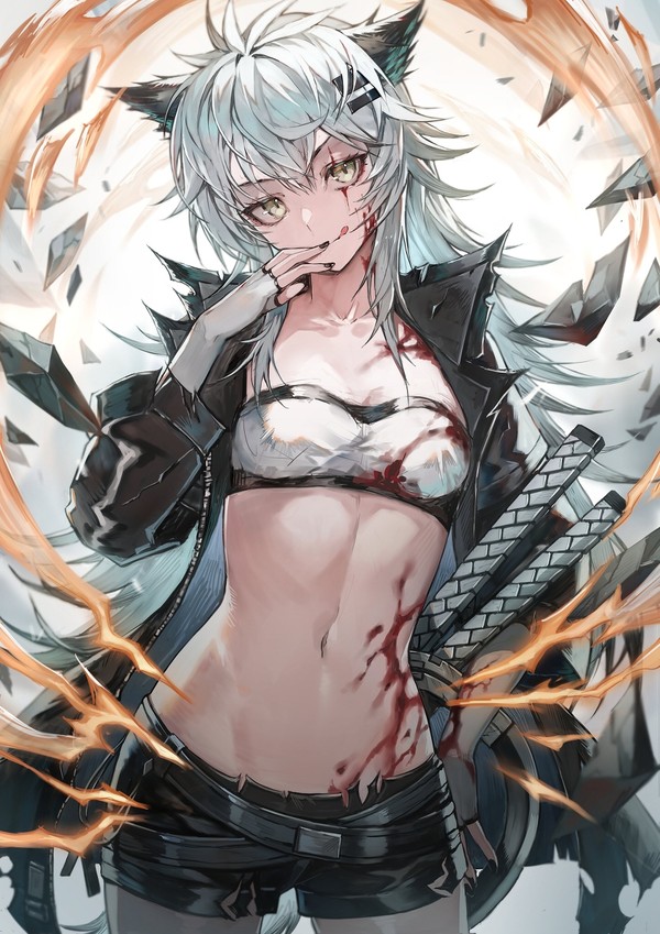 ラップランド