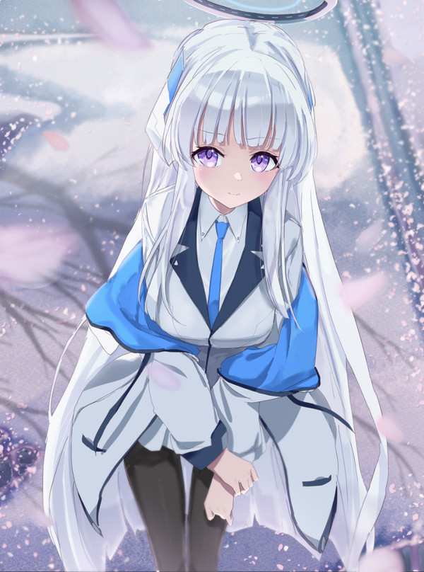 先生、散った桜にはもう興味ないですか……?