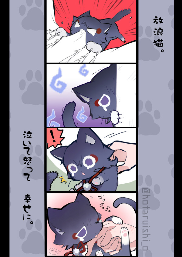 放浪ねこ。